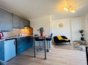 Bel appartement coeur de Vannes